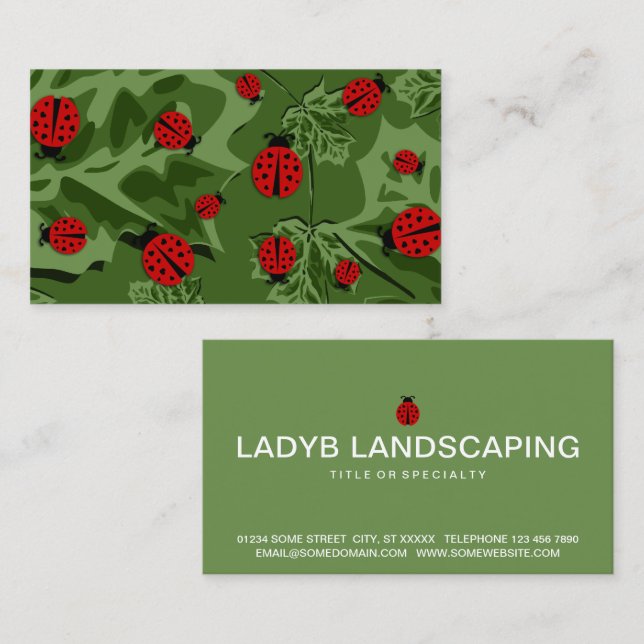 carte de visite ladybugs (Devant / Derrière)