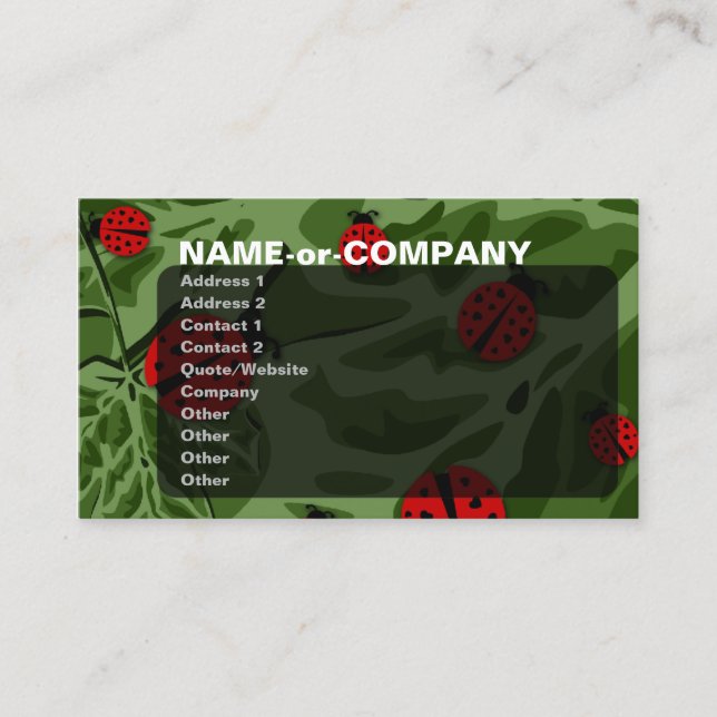 Carte De Visite ladybugz. (Devant)