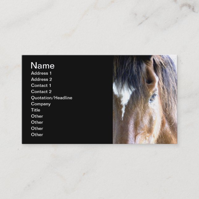 Carte De Visite L'âme l équine/Connexe-Affaires de cheval (Devant)