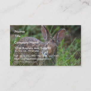 Carte De Visite Lapin