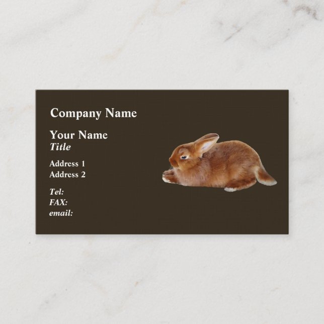 Carte De Visite Lapin Brown (Devant)