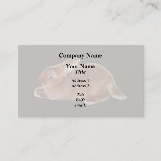 Carte De Visite Lapin Brown (Devant)