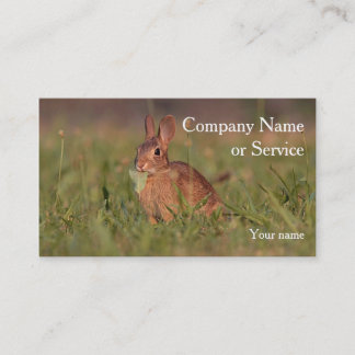 Carte De Visite Lapin de lapin