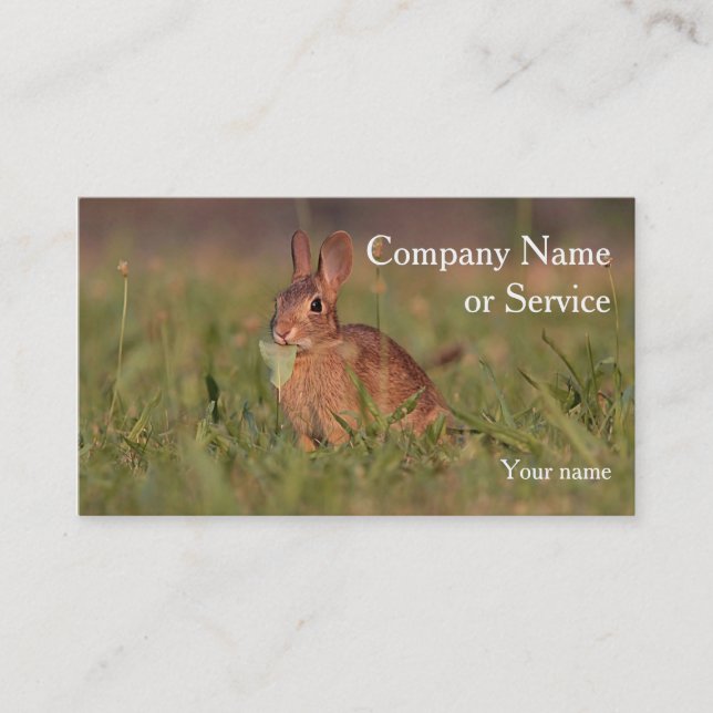Carte De Visite Lapin de lapin (Devant)