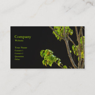 Carte De Visite L'arbre