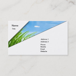 Carte De Visite Lawncare