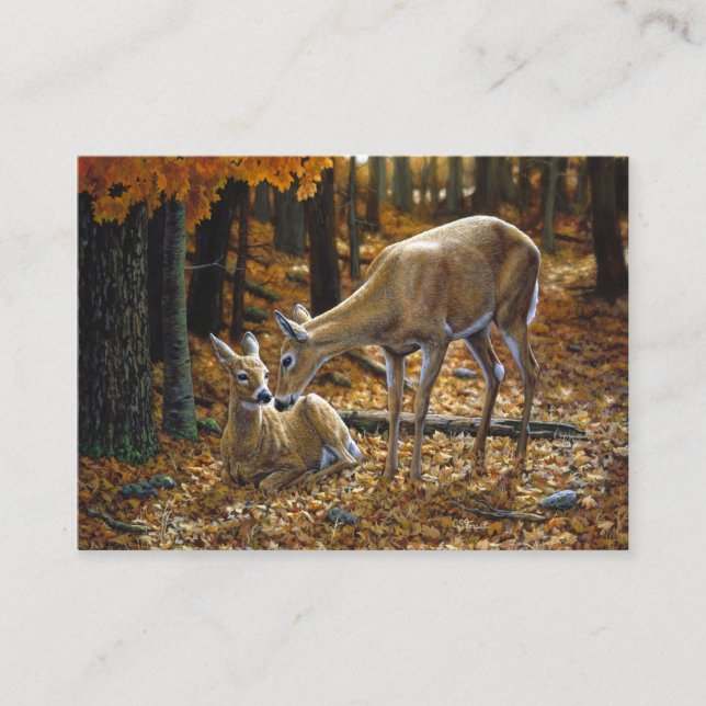 Carte De Visite Le cerf de Virginie - automne (Devant)