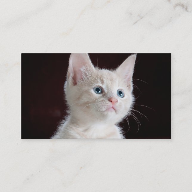 Carte De Visite Le do-it-yourself téléchargent votre blanc de (Devant)