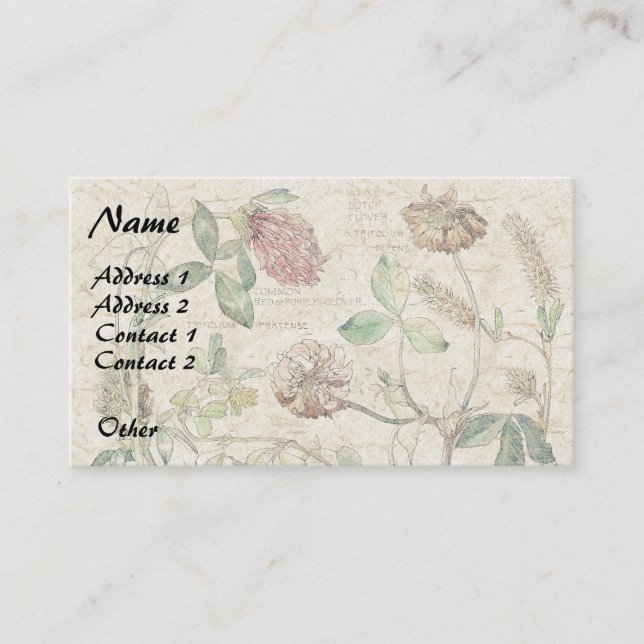 Carte De Visite Le fleur sauvage botanique de trèfle fleurit des (Devant)