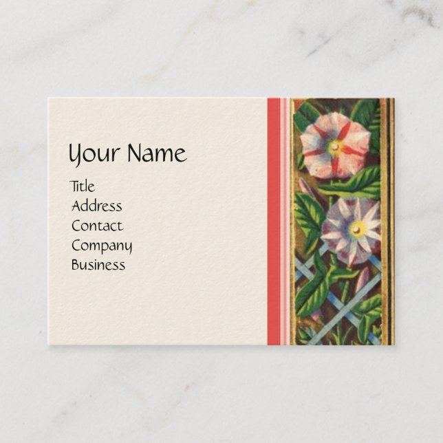 CARTE DE VISITE LE MATIN GLORIES, PANIER DE JARDIN, MÉNAGE, JARDIN (Devant)