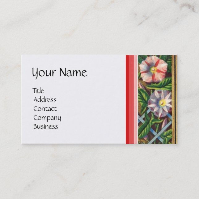 CARTE DE VISITE LE MATIN GLORIES, PANIER DE JARDIN, MÉNAGE, JARDIN (Devant)