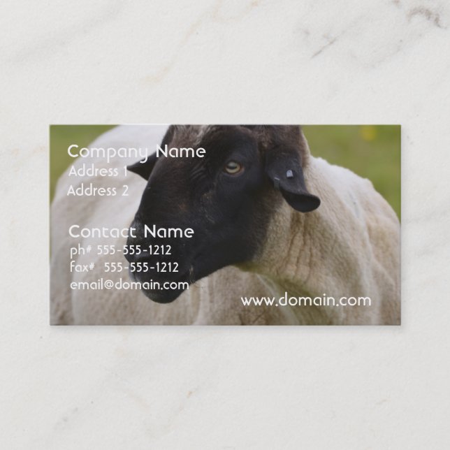 Carte De Visite Le noir a fait face à des moutons (Devant)