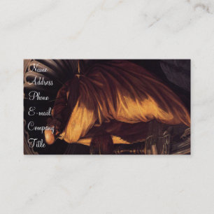 Carte De Visite "Le Philosopher