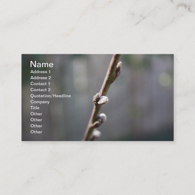 Carte De Visite Le printemps arrive (Devant)