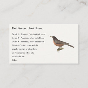 Carte De Visite Le Robin américain (Turdus migratorius) NY Birds