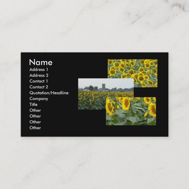 Carte De Visite Le tournesol met en place pour toujours ! (Devant)