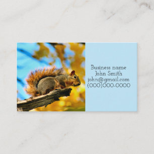 Carte De Visite Leap