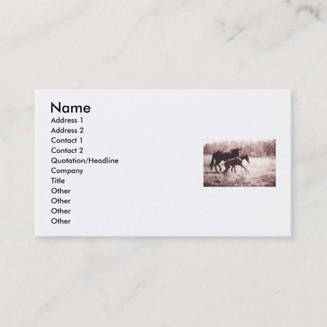 Carte De Visite Leap For Joy Foal and Mare (Devant)