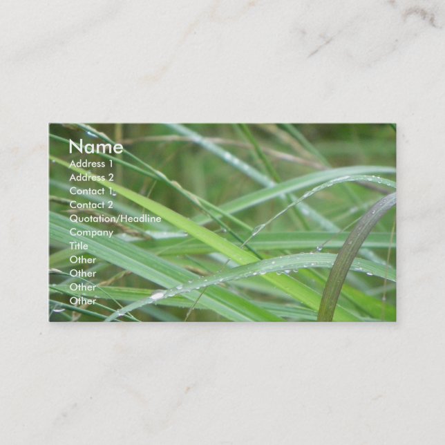 Carte De Visite L'épisode de la nature (Devant)