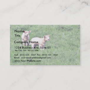 Carte De Visite Les agneaux Les moutons