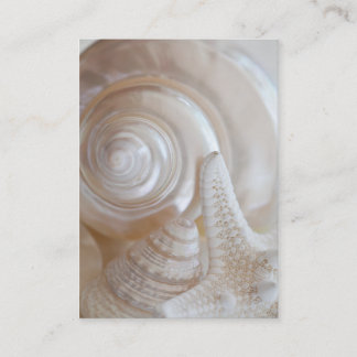 Carte De Visite Les coquillages blancs Les étoiles de mer