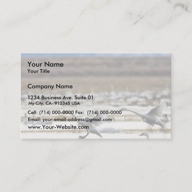 Carte De Visite Les cygnes à Klamath (Devant)