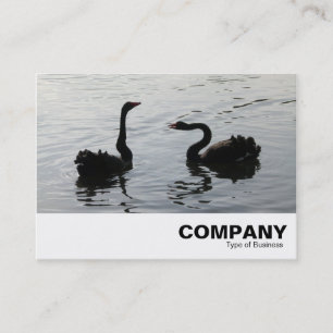 Carte De Visite Les cygnes noirs saluent