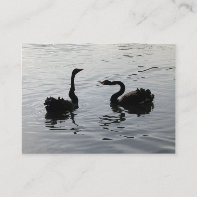 Carte De Visite Les cygnes noirs saluent (Devant)