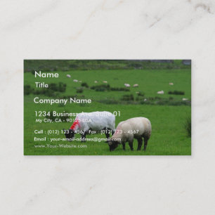 Carte De Visite Les moutons s'approchent de Deerpark Irlande