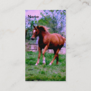 Carte De Visite Les rêves de printemps, Sorrel Trotting