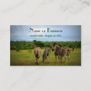 Carte De Visite Les zèbres africains dans un cadre naturel