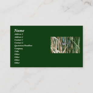 Carte De Visite Libellule