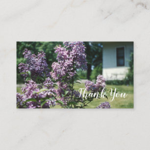 Carte De Visite Lilacs Vintage Lilac Bush à la maison