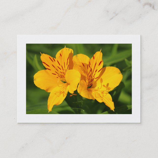 Carte De Visite Lilies péruviennes (frontière) (Devant)