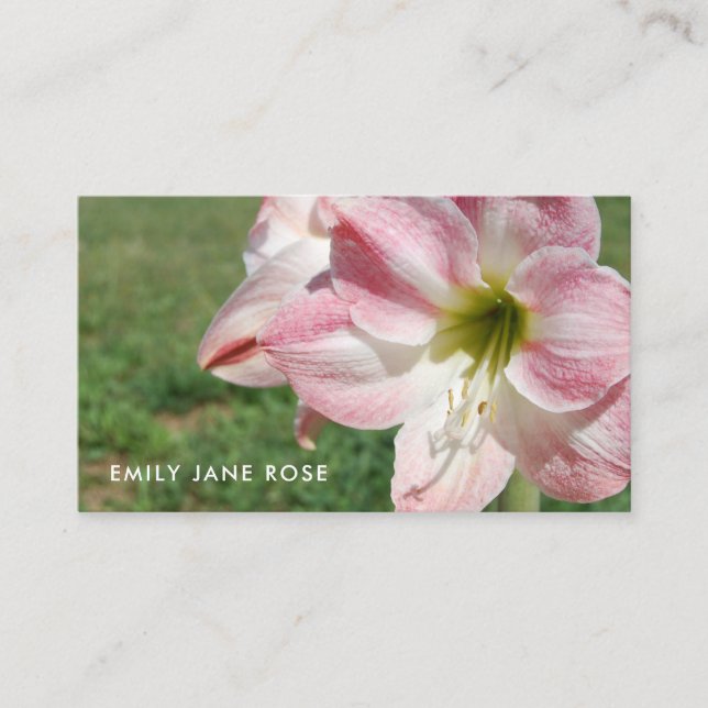 Carte De Visite Lily 'Stargazer', Lys orientaux, fleuriste (Devant)