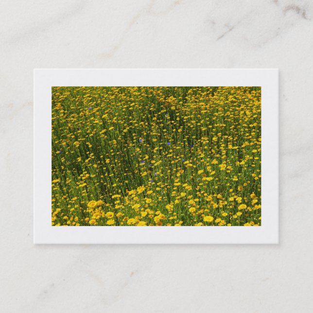 Carte De Visite Lit de marguerites jaunes (Bordé) (Devant)