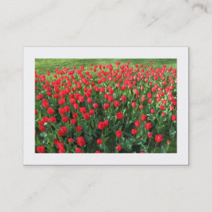 Carte De Visite Lit des tulipes rouges 01 (Bordé)