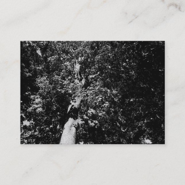 Carte De Visite London Plane Tree B&W, Mini Photo (Devant)