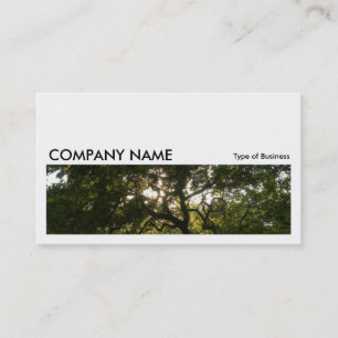 Carte De Visite Long Picture 0153 - Branches Japonaises 04