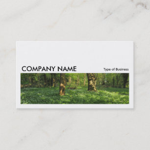 Carte De Visite Long Picture 0210 - Printemps dans les bois