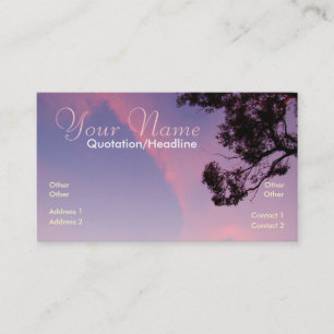 Carte de visite LookUp 2da Skies
