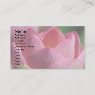 Carte De Visite lotus