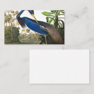 Carte De Visite Louisiana Heron par John James Audubon