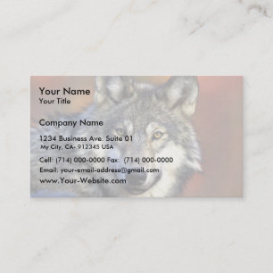 Carte De Visite Loup gris
