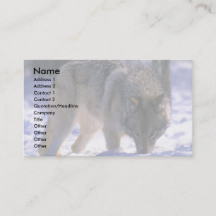 Carte De Visite Loup gris au bord de la forêt enneigée, contact