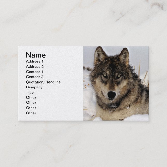Carte De Visite Loup gris ou loup de bois de construction (Devant)