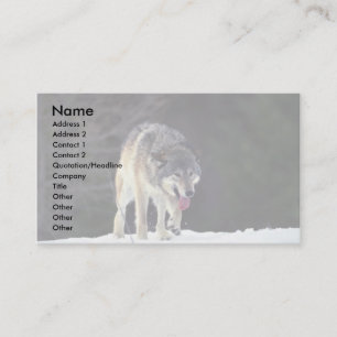 Carte De Visite Loup sur l'horizon neigeux