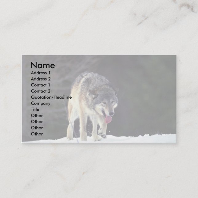 Carte De Visite Loup sur l'horizon neigeux (Devant)