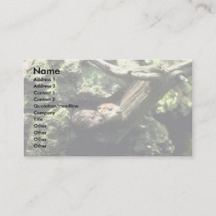 Carte De Visite Loutre de rivière scrutant hors du repaire rocheu