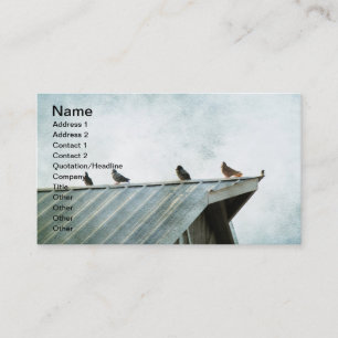 Carte De Visite L'un d'entre eux n'appartient pas, 4 pigeons et 1 